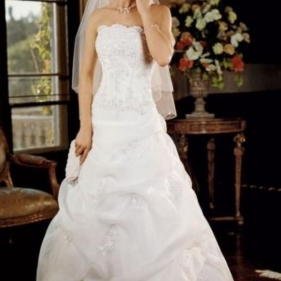 David's Bridal corset wedding dress - Picture 6 of 6